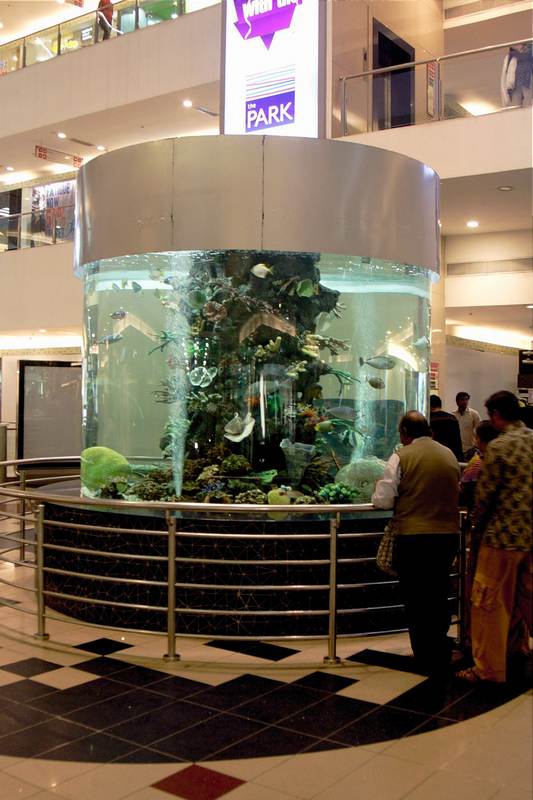 Marine Aquarium Gvk One Mall Hyderabad 038 Auropv Flickr