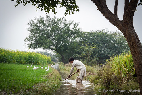 Improved water management enhances food security and econcomic development in Pakistan