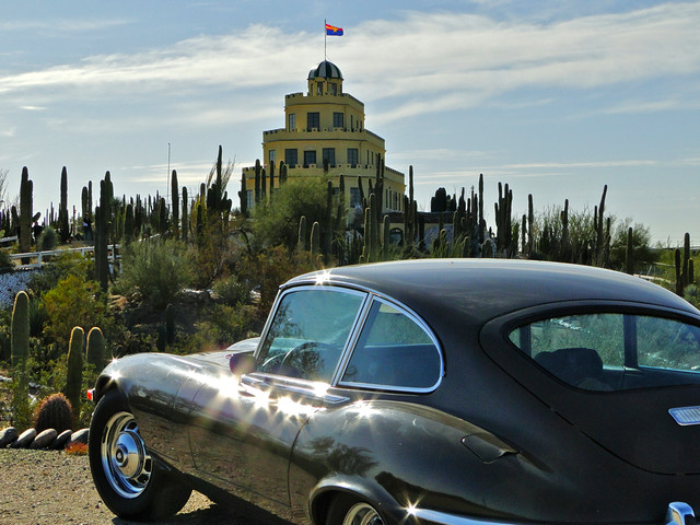 Jaguar at Tovrea Castle