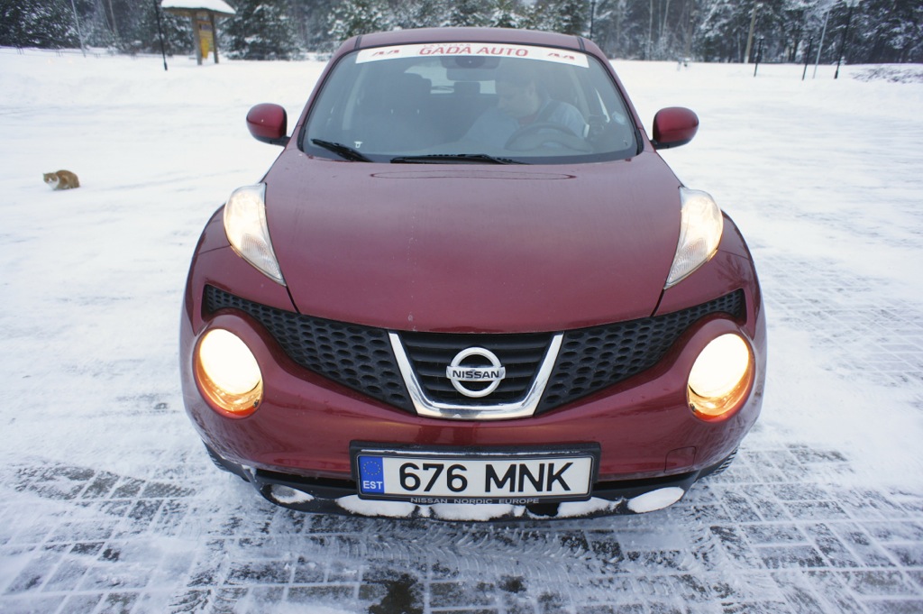Image of Nissan Juke 2010 36