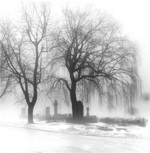 fog | by solli_amihod