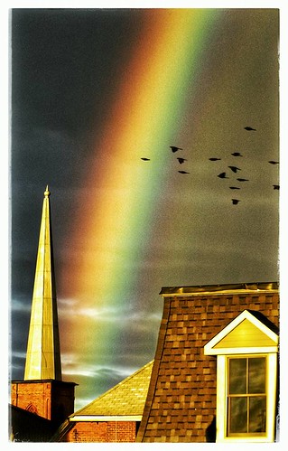 ontario town outdoor peterborough city rain rainbow sky birds blackbirds canada plismo