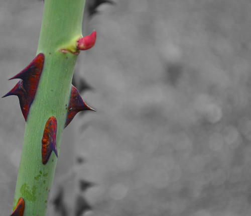 Rule of Thirds | by greta.quinn.1
