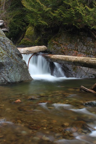 longexposure green nature water beauty rock creek outdoors waterfall washington log scenery baker skagit grandy