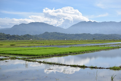 philippines sunnyday rice field dreams landscape reflection cloud pagudpud