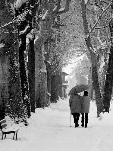 Snowfall for two by Giuli Musico, old white snow black senior walking nikon elderly promenade neve neige aged bianco nero sunsetboulev