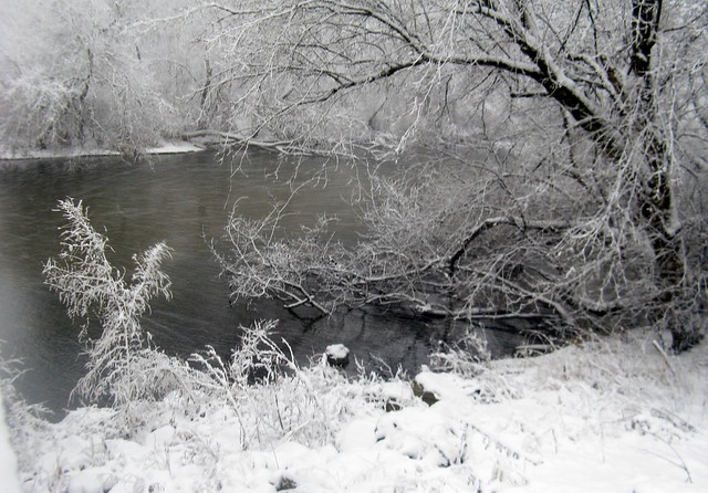 Turtle Creek in Winter