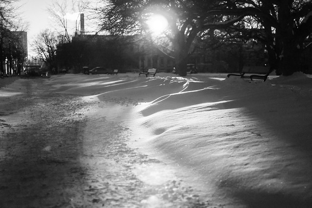 Let it snow - Albany, NY - 2012, Dec - 03.jpg