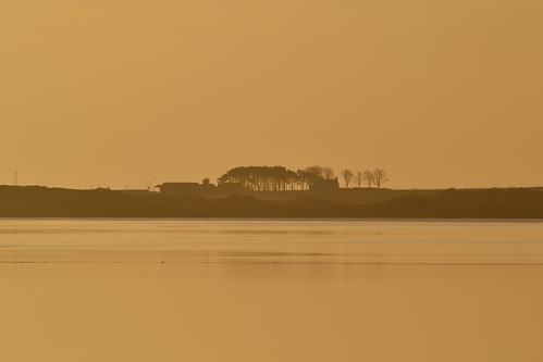 trees silhouette sunrise scotland highlands nikon telephoto themound lochfleet d3100