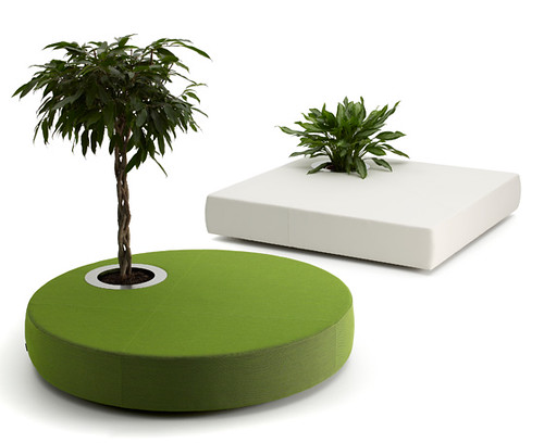 Oasis by OFFECCT