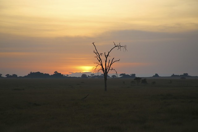 The sunrises over the Serengeti