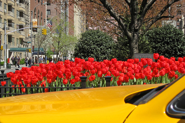 Spring in New York