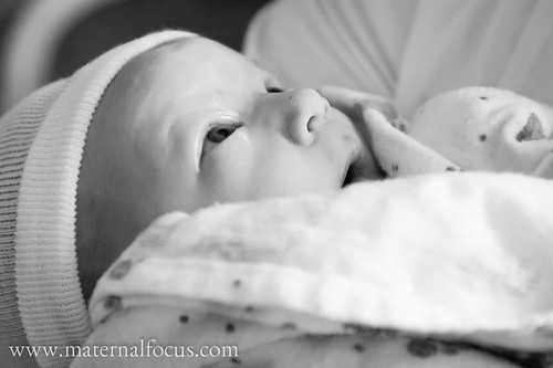 Alert newborn | by shutterdoula