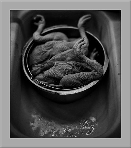 Chicken Bits | by Wentbackward