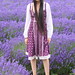 Lavender Fields Hampshire