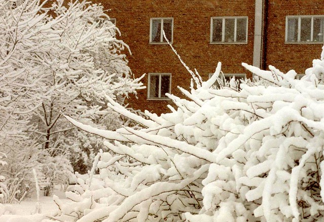 Beautiful winter 1995