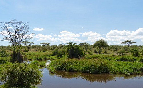 africa travel landscape tanzania safari serengeti