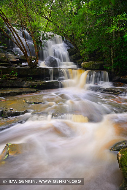 Lower Somersby Falls after Rain, Brisbane Water National Park, Central Coast, NSW, Australia