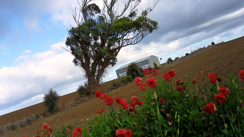 newzealand landscape scenic scene auckland folders mangatawhiri bikingtour 201002bikingnewzealand