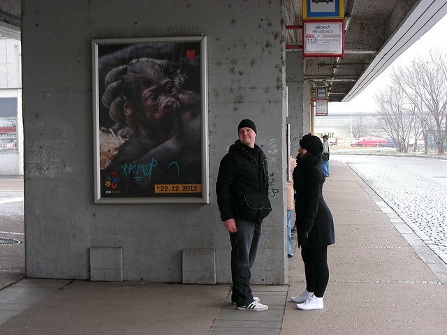 Prague 001: Bus Stop