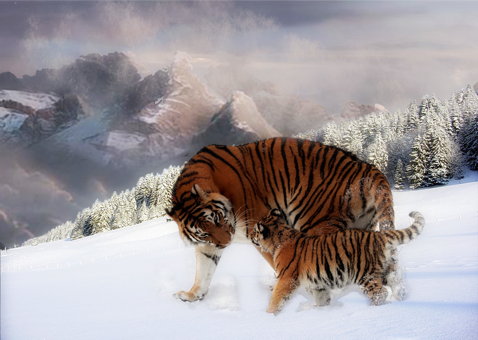 Animals | Flickr