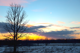 the edge of night