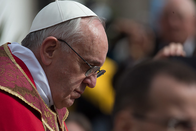 Papa Francisco: Diversos aspectos de un Domingo de Ramos