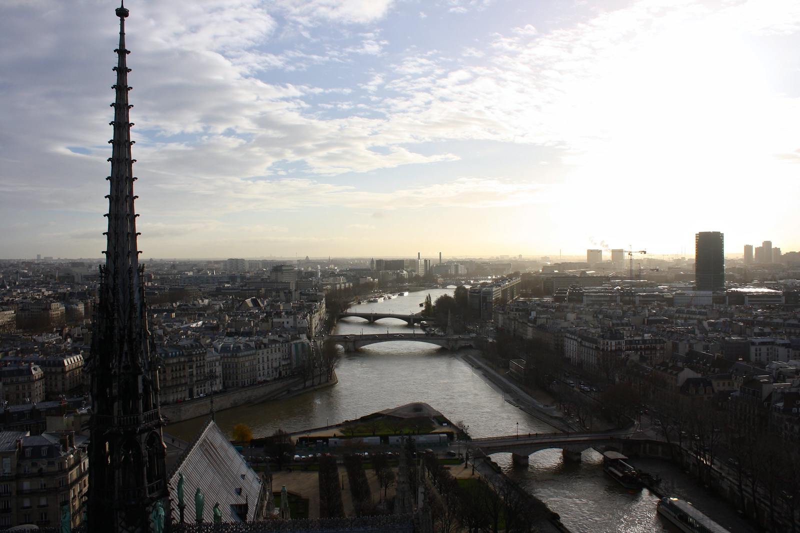 Paris, France, seen from Notre-Dame Cathedral