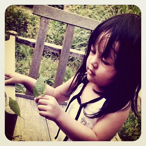 From little thing big things grow... | by jendelarumahkita
