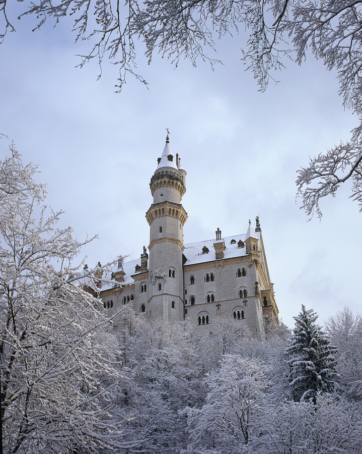 Neuschwanstein in winter colors