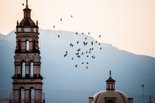 Catedral, Puebla de los Angeles