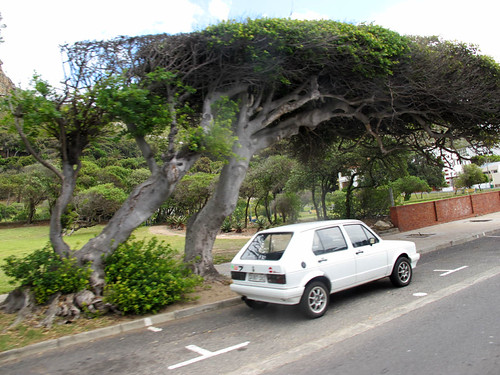 Cape Town