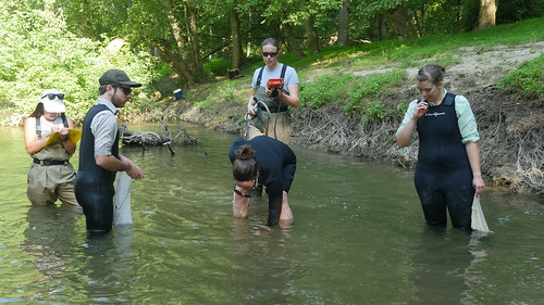 Photo of several people working in a stream