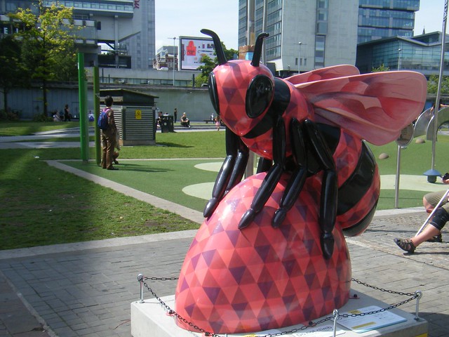 Manchester Red Bee - Rubee = GONE NOW