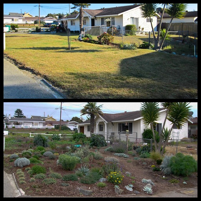Medit Garden Side View Before & After