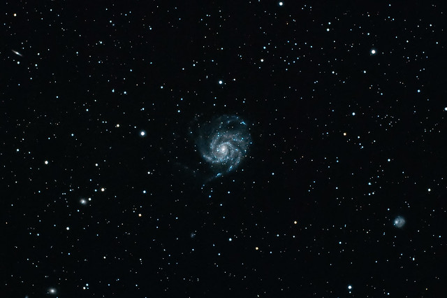 The Pinwheel Galaxy (M101) Detail