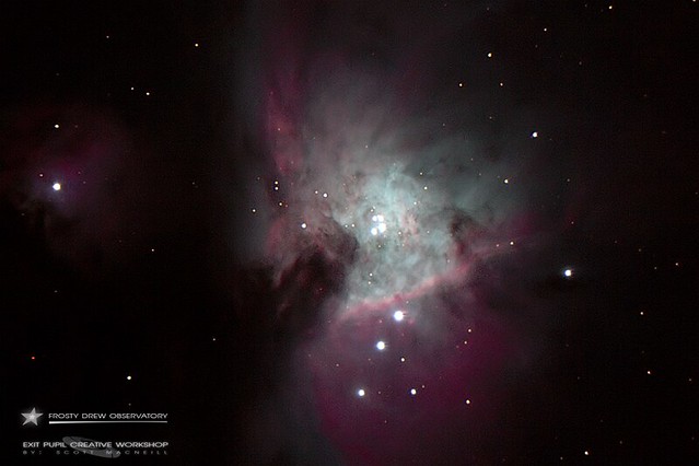 The Orion Nebula (M42)