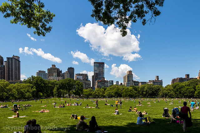 Central Park - Manhattan