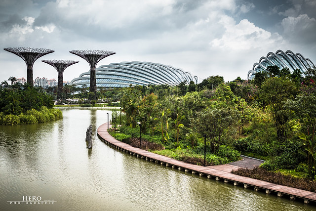 Singapore / Gardens by the Bay