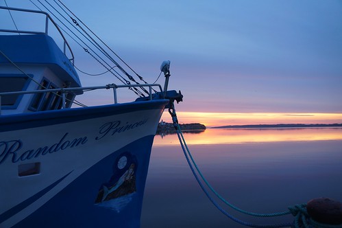 sunrise bayroberts crabfishery newfoundlandandlabrador spring2013 randomprincess marinestweardshipcouncilmsccertification