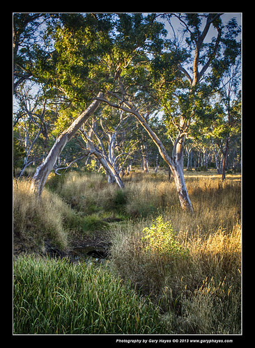 sunrise south australia vale hills mclaren adelaide kangarillo