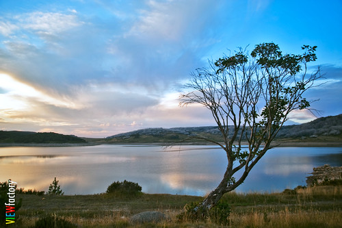 water sunrise dawn nikon dam shoreline australia victoria alpine windswept fallscreek bogonghighplains australianalps d700 rockyvalleystorage davidnaylor keiwahydroelectricscheme