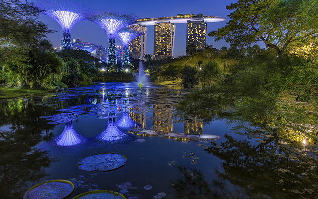 Broken Reflections @ Gardens by the Bay