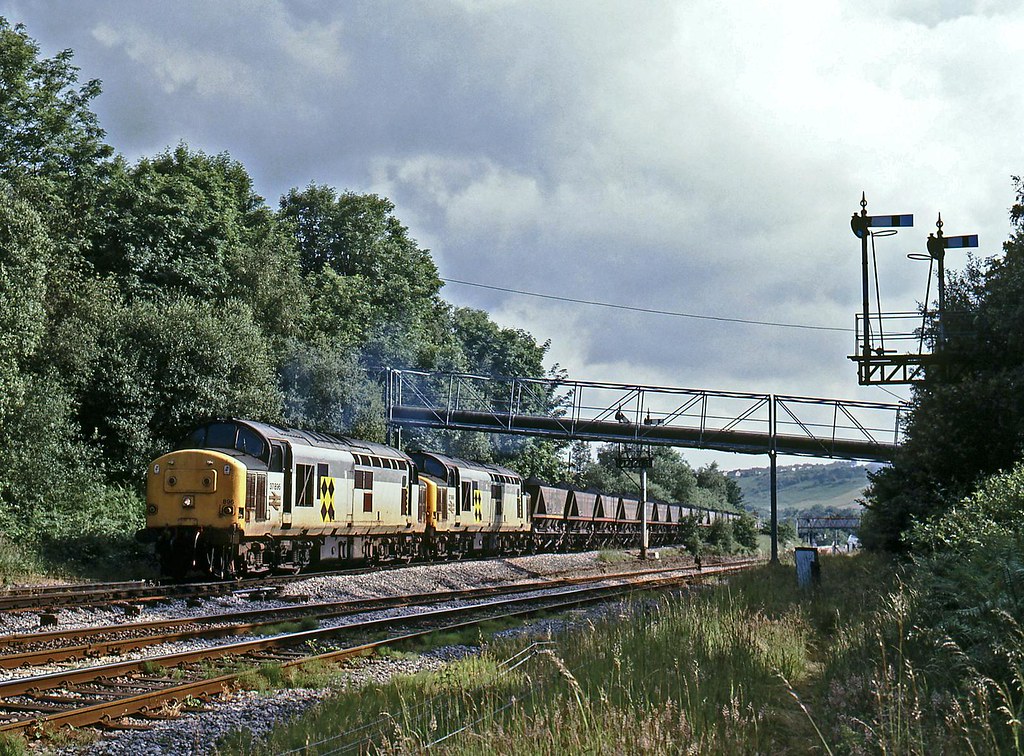 Year 1993 | Flickr