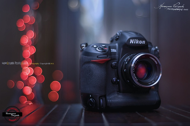 59/365 Nikon D3X with 50mm f/1.4 Carl Zeiss Lens