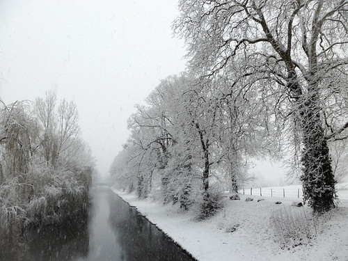 On the frozen river by davenwar, winter snow forest river landscape roanne