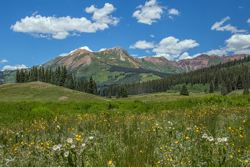 landscape nature wildflowers colorado crestedbutte gothic bobrussell russell rmrussell