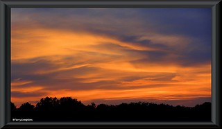 DSC02637_1 - Sunset Photo