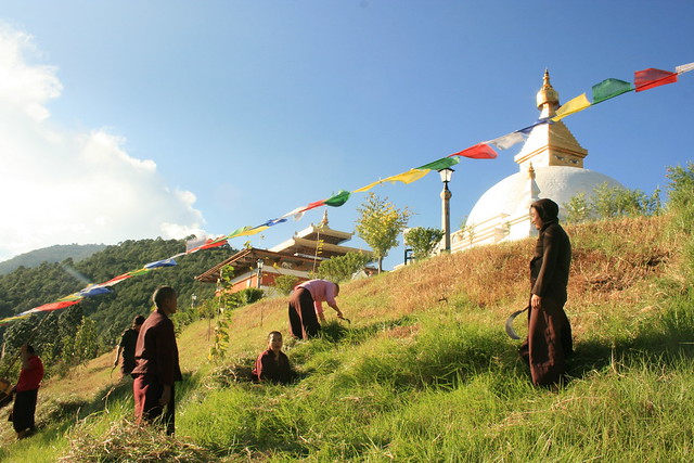 Bhutan nuns working at Sangchhen Dorji Lhuendup Lhakhang