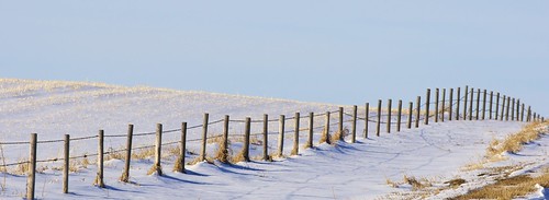 blue winter sky white snow canada calgary canon fence landscape farm alberta barbedwire jpandersenimages